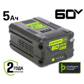 60V Литий-Ионная аккумуляторная батарея G60B5, 5Ah