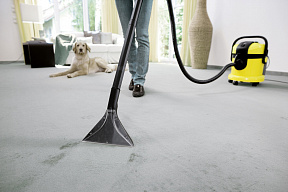 Моющий пылесос Karcher SE 4002 - изображение 4