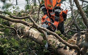 Цепь 15" 0.325" 1.3 64DL SP33G X-Cut Husqvarna - изображение 3